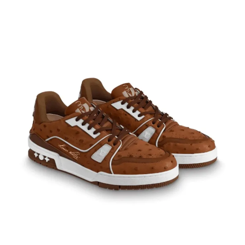 LOUIS VUITTON Trainer Stylish Skateboarding Shoes Unisex Chocolate Brown-2