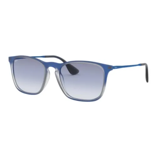 RayBan Oval Sunglasses Unisex Blue