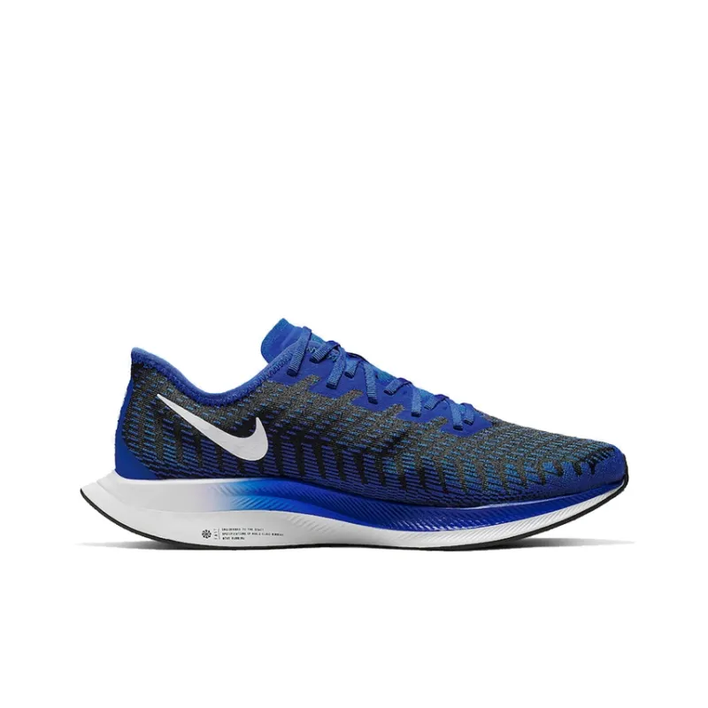 Nike Zoom Pegasus Turbo 2 'Racer Blue'-1