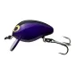 Black Purple