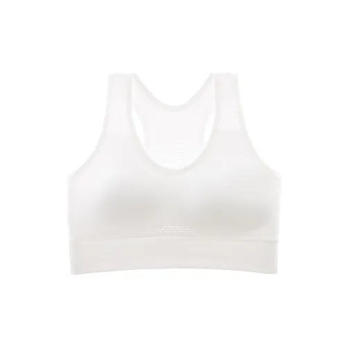 2323 Women's Bras