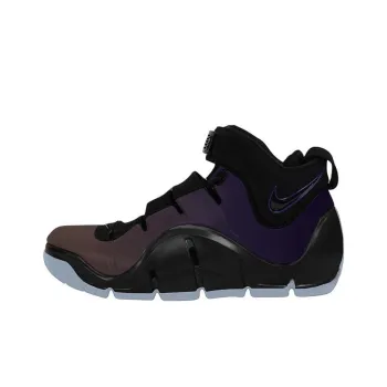Nike LeBron 4 'Eggplant'