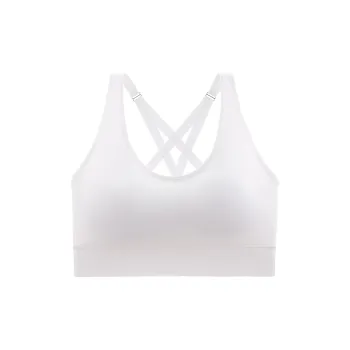 2323 Women's Bras