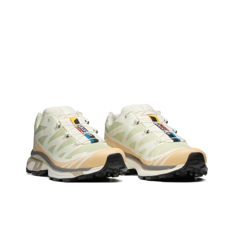 SALOMON XT 6 'Aloe Wash Hazelnut'-1