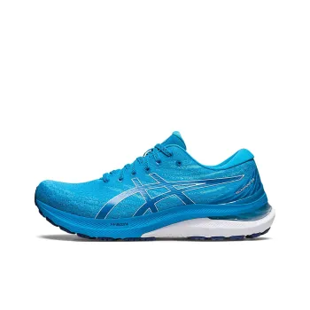 Asics GEL KAYANO 29 'Blue'
