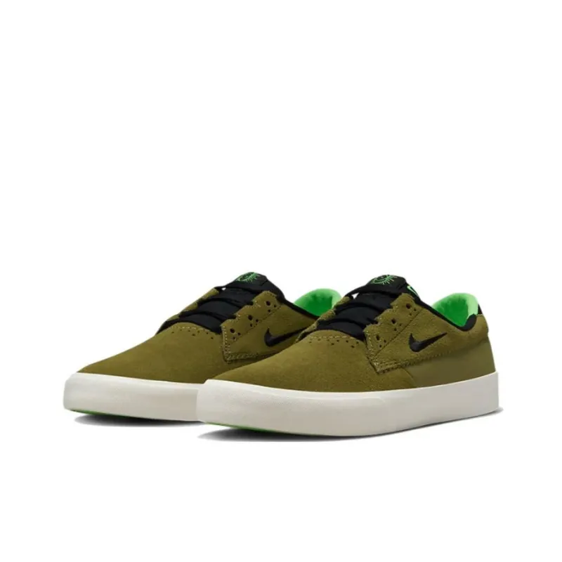 Nike Sb Shane Pilgrim-2