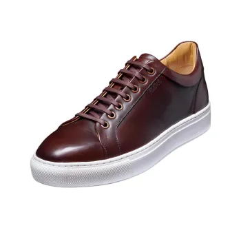 BARKER Sam Low-Top Skateboard Shoes Men's Dark Brown
