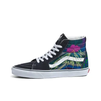 Vans Sk8 Hi Brainworks 'Black Multi'