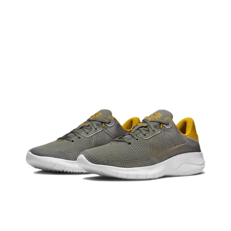 Nike Flex Experience Run 11 Next Nature 'Flat Pewter Gold'-2