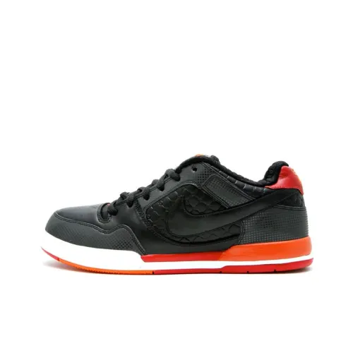 Nike SB Paul Rodriguez 2 Fuji Rod