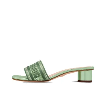 DIOR Dway Genuine Leather Sole Odor-Resistant Slide Slippers Women's Green
