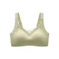 LS-161/Fruit Green/Single Pack