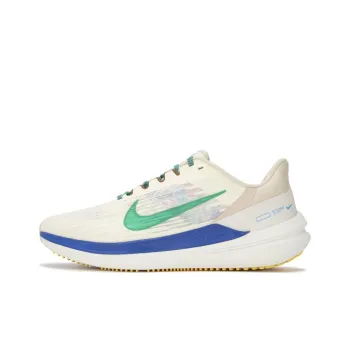 Nike Winflo 9 Premium Nike Moving Company