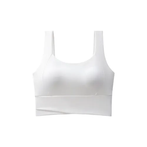 2323 Women's Bras