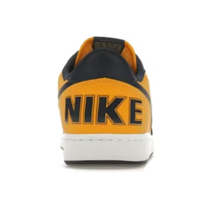 Nike Terminator Low Michigan-4