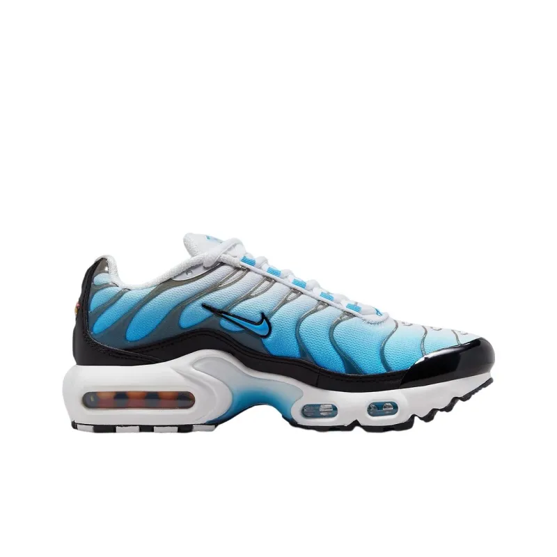 Nike Air Max Plus Ice GS-1