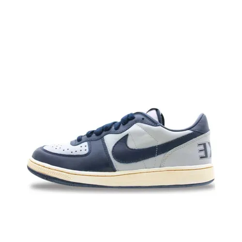 Nike Terminator Skateboard Shoes Men Low-Top