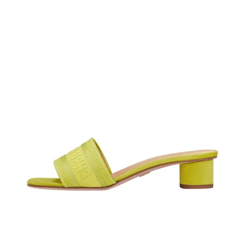 DIOR Dway Slide Slippers Women's Green Yellow