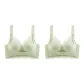 2 Pack (Light Grass Green+Light Grass Green)