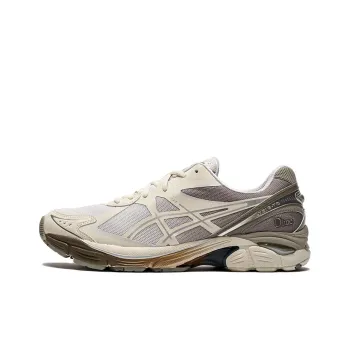 Asics GT 2160 Dime Arctic Wolf