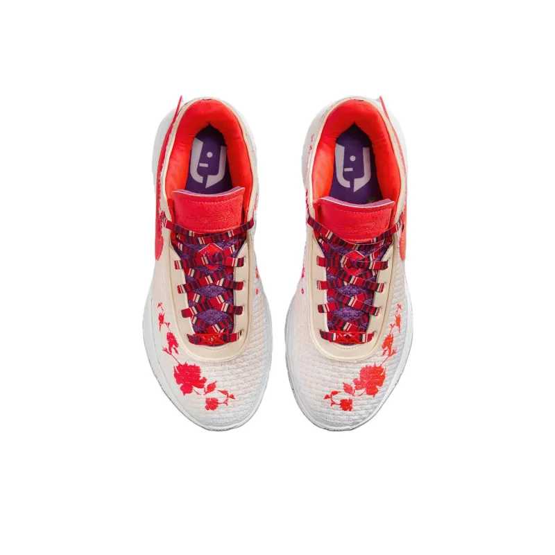 Mimi Plange X Nike LeBron 20 Premium EP "Ceremony"-3