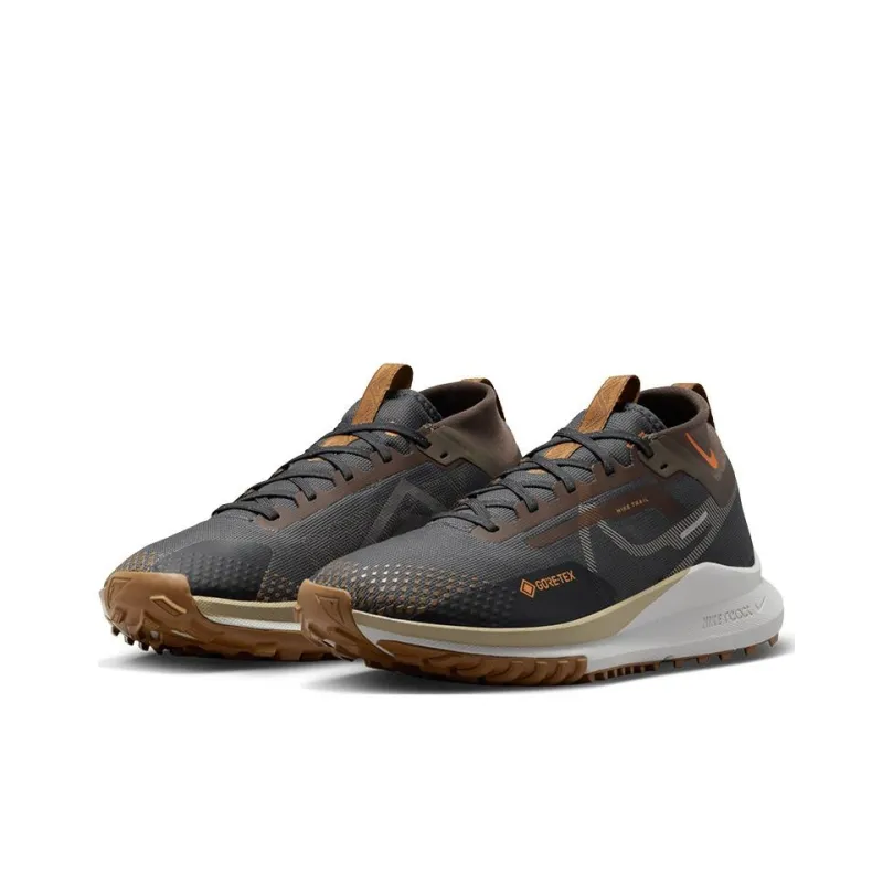 Nike Pegasus Trail 4 Gore Tex Anthracite Ironstone-1