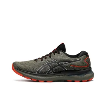 Asics Gel Nimbus 24 Tr 'Nature Bathing Olive'