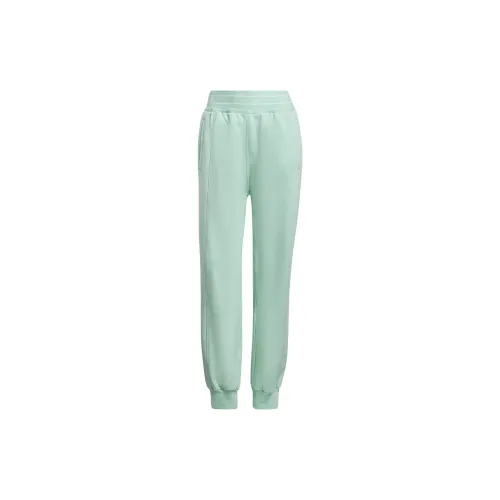 Adidas Knitted Sweatpants Women's Frozen Green