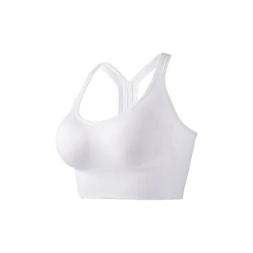 2323 Women's Bras