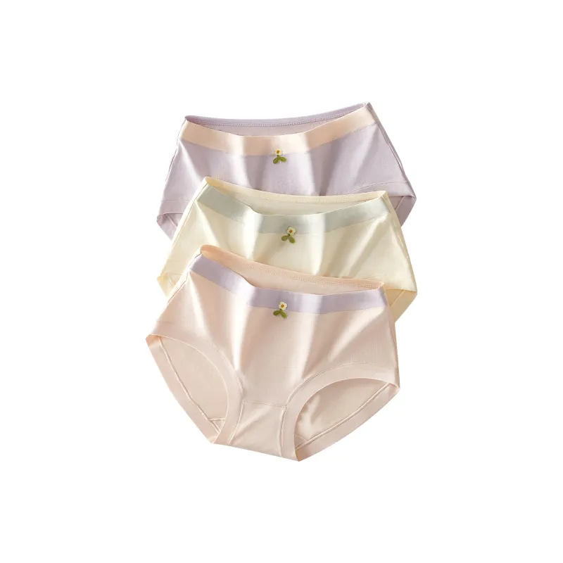 Ordifen Underpants Women's 3 Pack-7