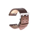 Brown-Silver-Tone Buckle