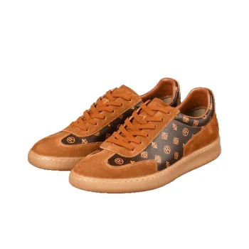 Raidy Boer Low Top Skateboard Shoes Men's Dark Coffee