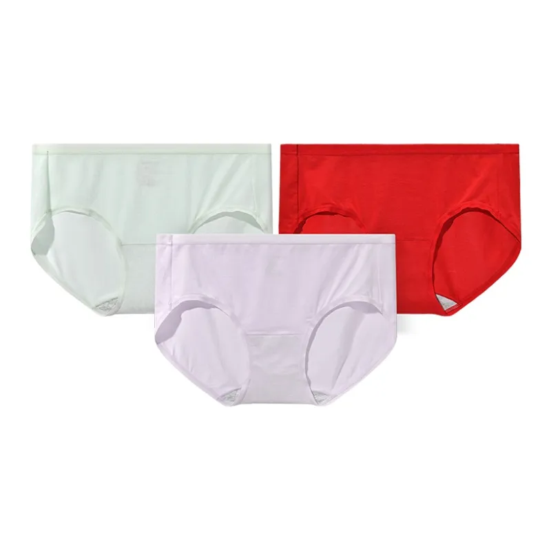 Skechers Underpants Women's 3 Pack, Gift Box Set-7