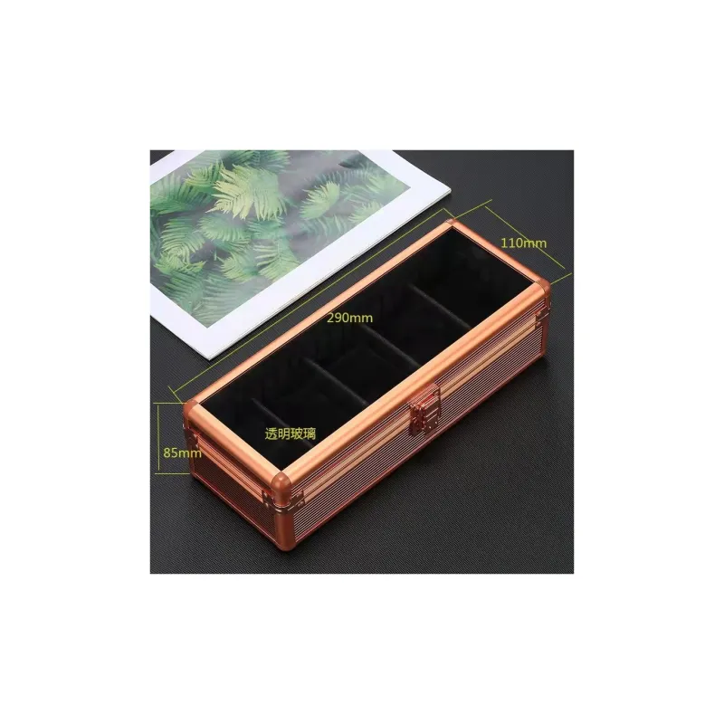 LIGHTIDEA Unisex Watch Case-24