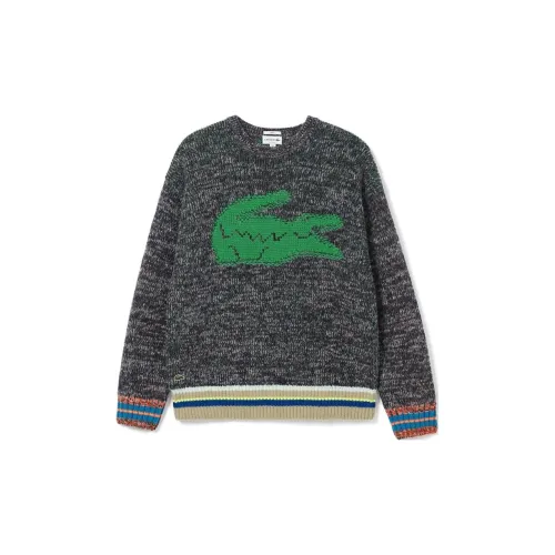 LACOSTE Sweaters Unisex 2CQ/Deep Gray