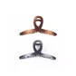 2-Piece Set Gradient Hair Claw Clip