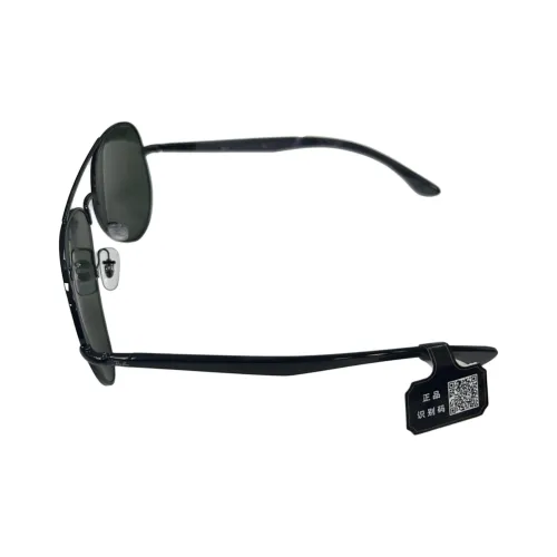 RayBan Alloy Oval Sunglasses Unisex Black
