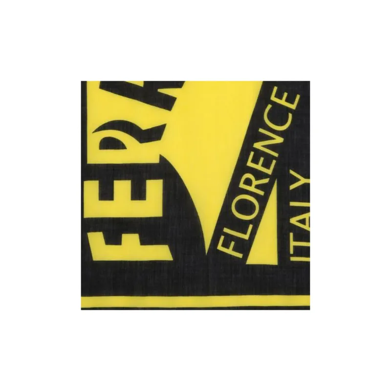 Ferragamo Maxi logo Stole-2