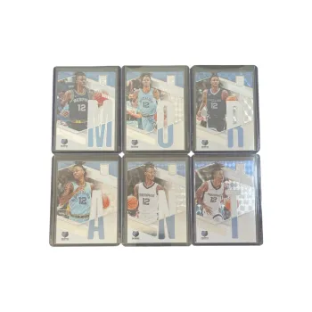 PANINI Sports Cards