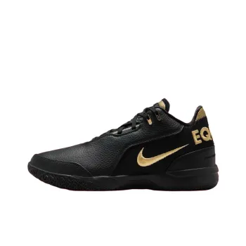 Nike Zoom LeBron NXXT Gen AMPD Equity
