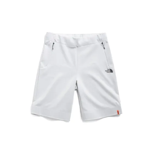 THE NORTH FACE Sports Shorts Men Gray