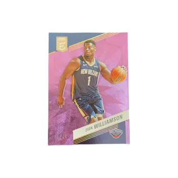 PANINI 2022 23 Elite Pelican Zion Williamson Takeshi Goda Purple Refractor Player Card Product Access Sports Cards 1 Pc