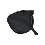 Bright Black with Gray Lens