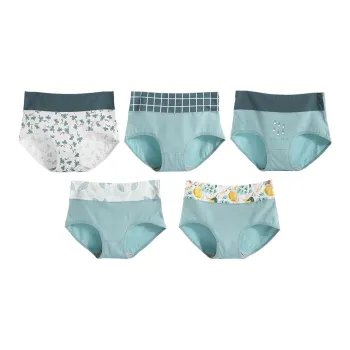 Lanza Underpants Women's 5 Pack