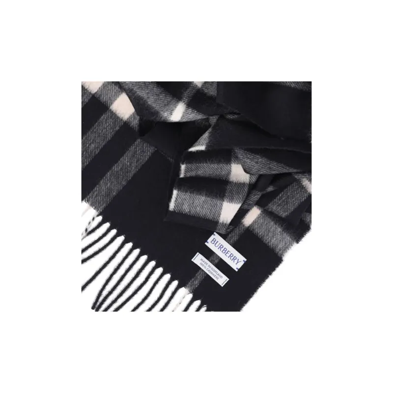 Burberry Checked Fringed-Edge Scarf-2