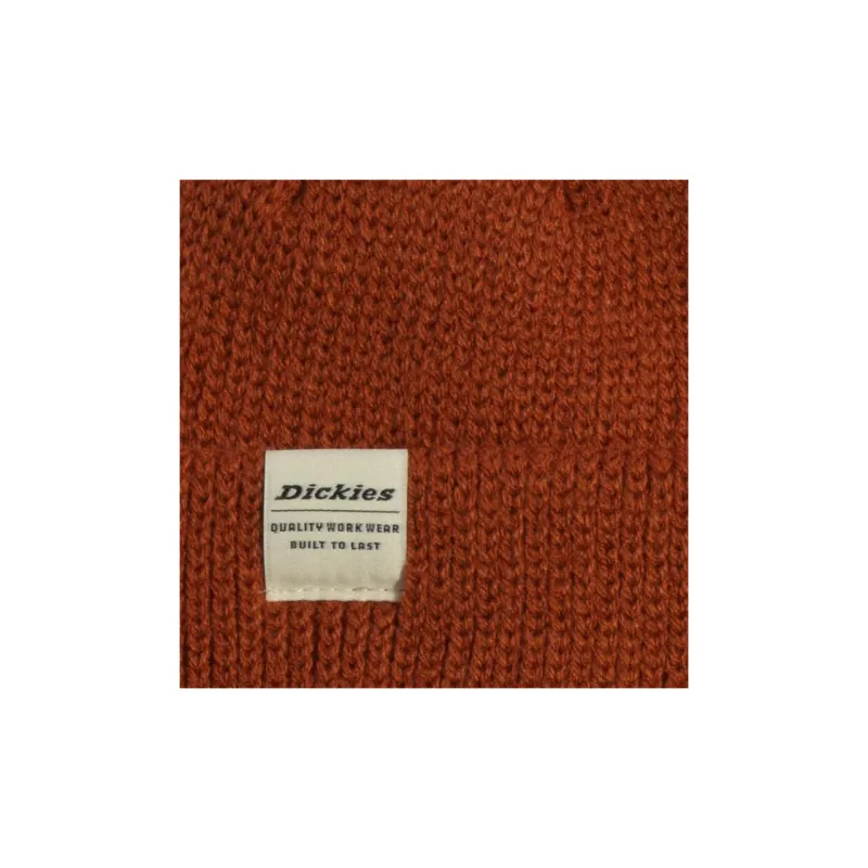 Dickies Acrylic Beanies Unisex Brown Red-1