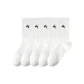 5 Pack[Coconut Milk White 5]