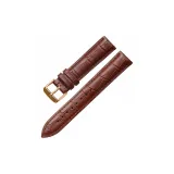 Brown with Gold Buckle[Includes Tools]