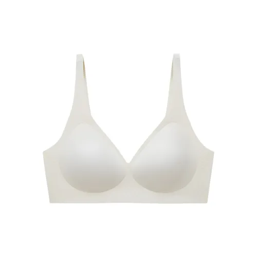 2323 Women's Bras