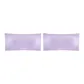 2 Pack (Purple)